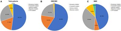 Genotypes and Phenotypes of DMD Small Mutations in Chinese Patients With Dystrophinopathies